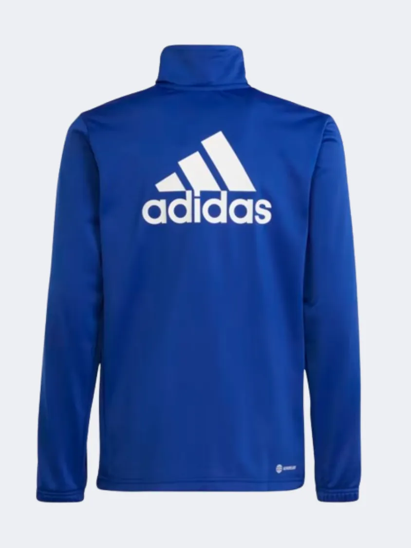 Adidas Essentials Big Logo Boys Sportswear Suit Lucid Blue/White