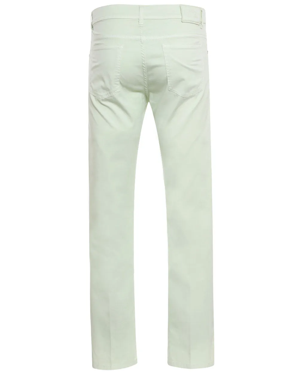 Pistachio Cotton Slim Fit Chino Pant