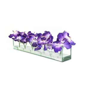 Purple Vanda in Glass Plate Vase • 3 sizes (12", 24" & 48"L)