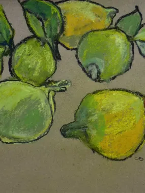 SOLD - MA Citrons' Still life pastel on craft paper. Six lemons - Caroline Beauzon 15¼" x 11¾"