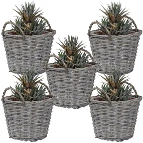 Sunnydaze Set of 5 Willow Wicker Basket Planters