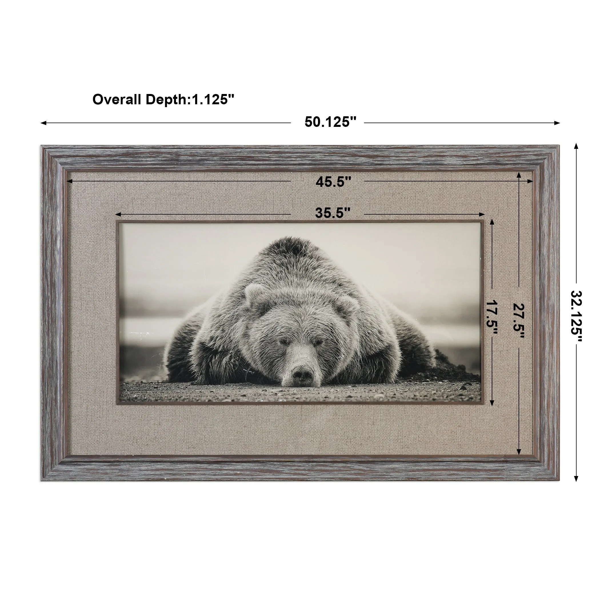 Uttermost Deep Sleep Bear Print