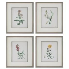 Uttermost Heirloom Blooms Study Framed Prints Set/4