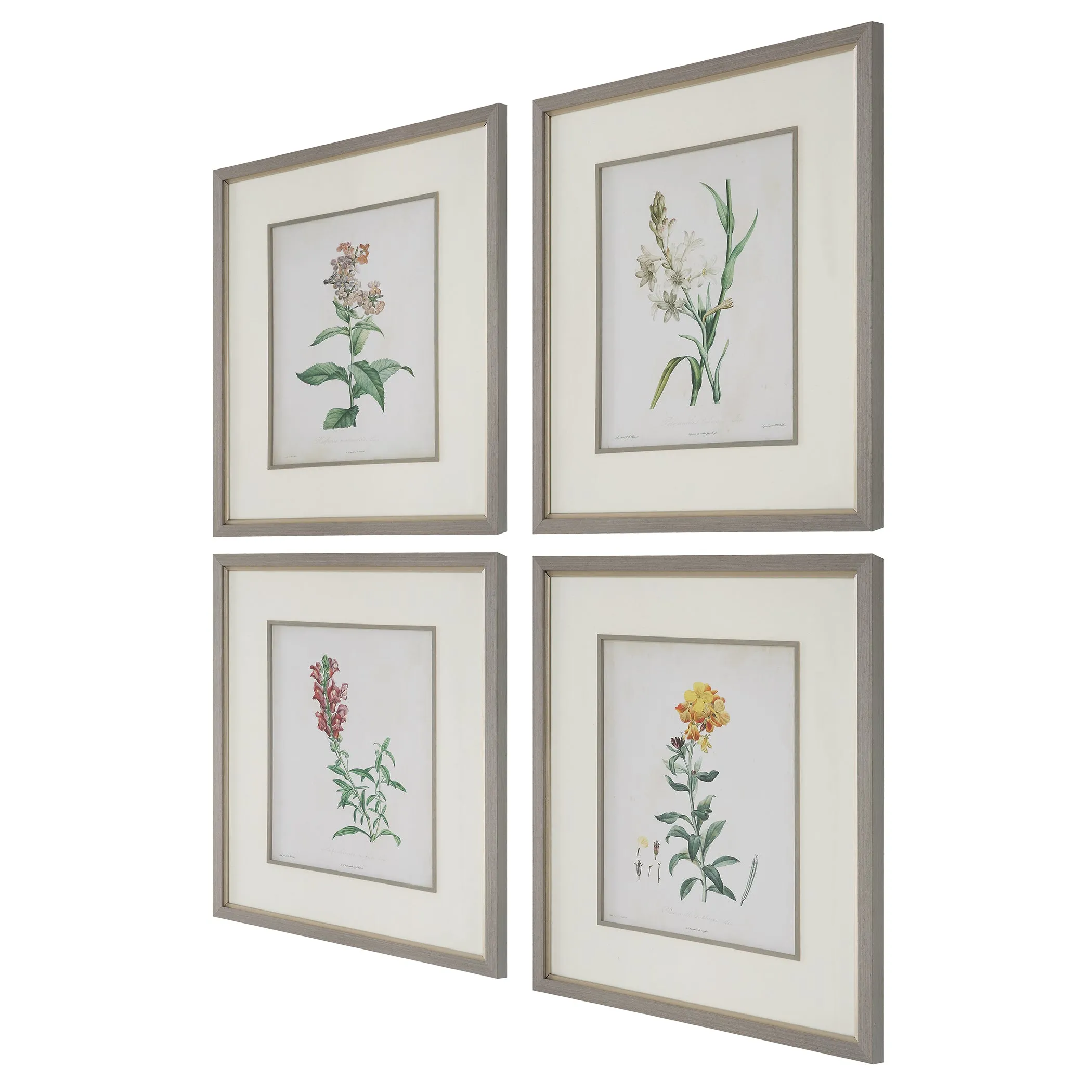 Uttermost Heirloom Blooms Study Framed Prints Set/4